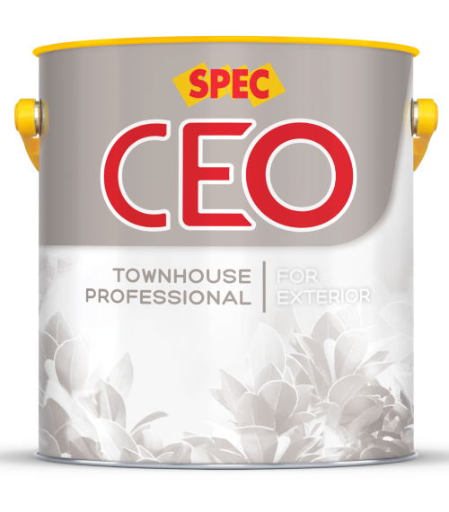 28. SPEC CEO TOWNHOUSE PROFESSIONAL FOR EXTERIOR (3,5L)